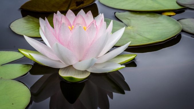 Hur man kombinerar meditation med massage för ökad avslappning illustration